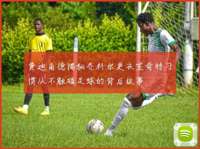 费迪南德揭秘乔科尔更衣室奇特习惯从不触碰足球的背后故事