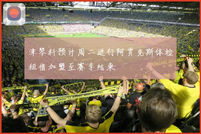 津琴科预计周二进行阿贾克斯体检租借加盟至赛季结束
