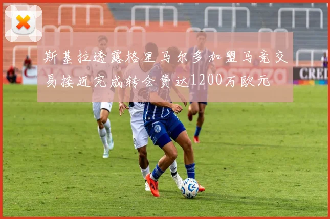 斯基拉透露格里马尔多加盟马竞交易接近完成转会费达1200万欧元