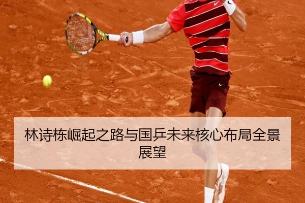 林诗栋崛起之路与国乒未来核心布局全景展望